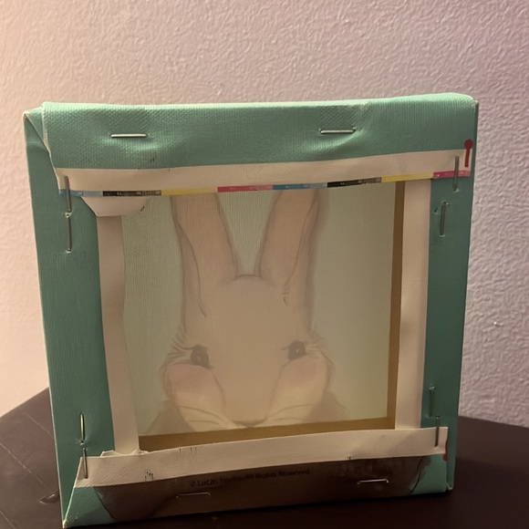 Bunny painting - Picture 2 of 2